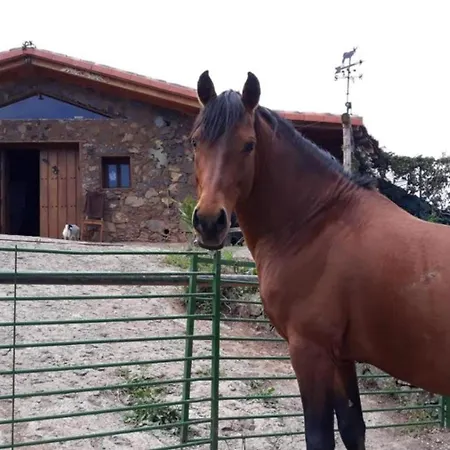 بيت للعطل House Relax Cercadillo